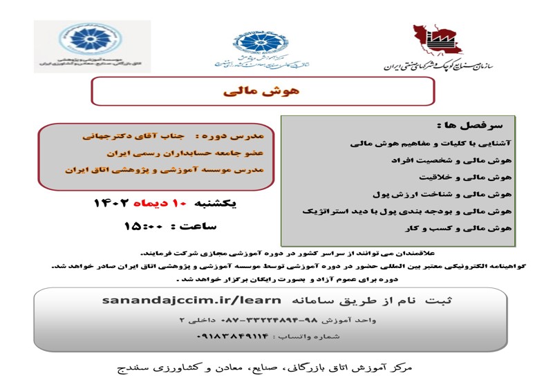 هوش مالی 